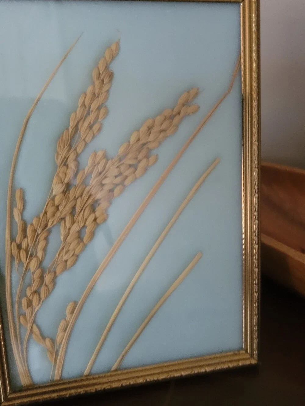 Vintage 3D Framed Pressed Rice Stalk Botanical Art - Gold Ornate Frame - MCM
